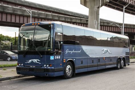 greyhound new york city to albany